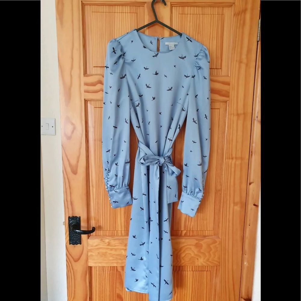 Silk H&M Dress